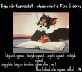 /album/fenykepgaleria/a1237039-562253137144960-76561286-n-jpg/